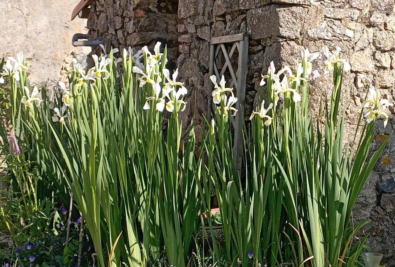 Charmant Gite A La Campagne, Proche Du Puy Du Fou, Les Charmes De Castellariis Pouzauges Exterior foto